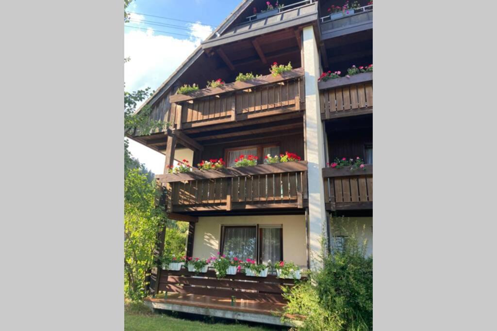 Gemuetliche Ferienwohnung In Sankt Blasien 외부 사진