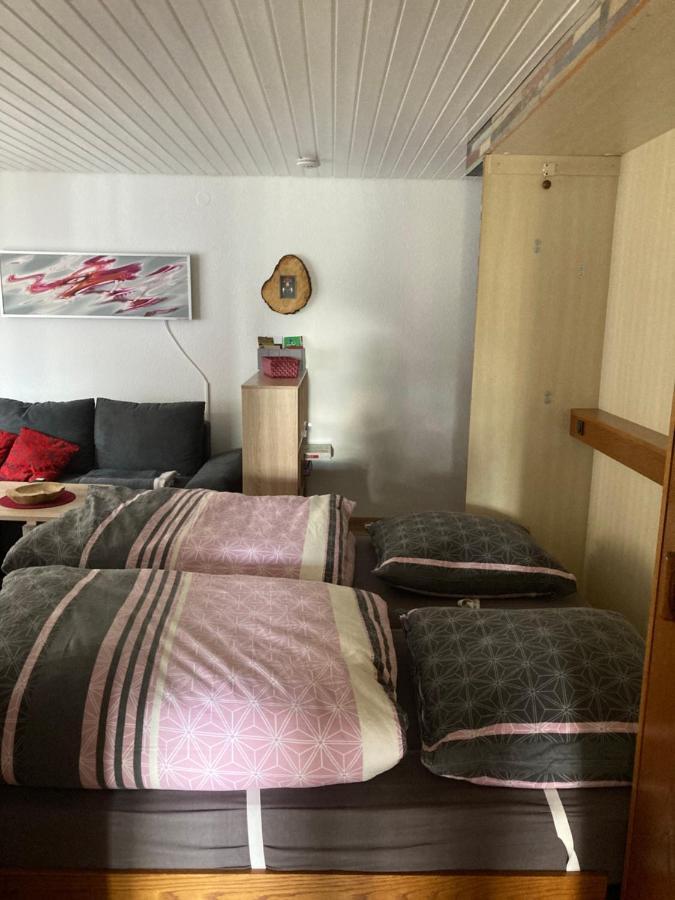 Gemuetliche Ferienwohnung In Sankt Blasien 외부 사진
