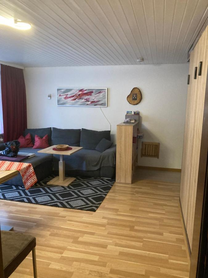 Gemuetliche Ferienwohnung In Sankt Blasien 외부 사진