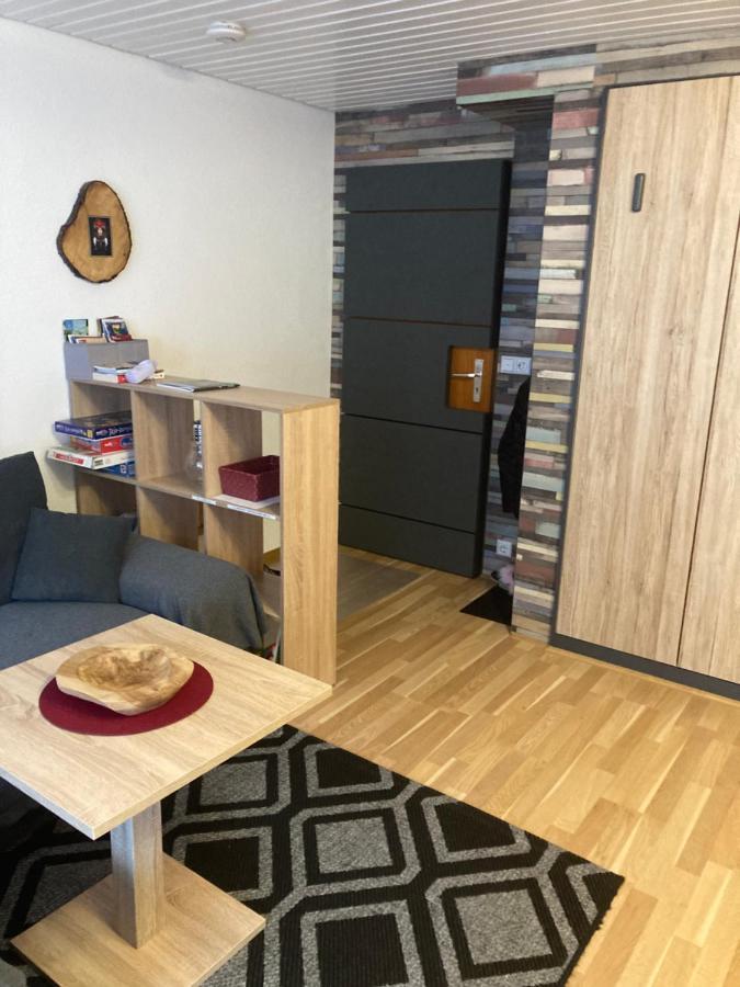 Gemuetliche Ferienwohnung In Sankt Blasien 외부 사진